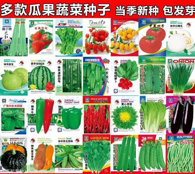 山东省枣庄市大棚蔬菜种子多少钱一袋-买一送一